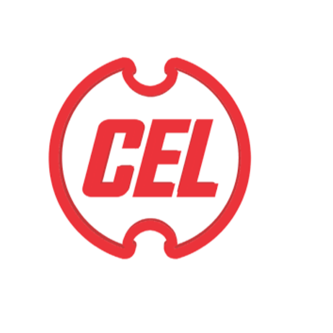 Central Electronics Limited CEL