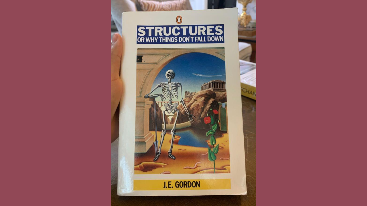 Structures Or Why Things Dont Fall Down by JE Gordon