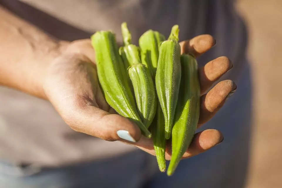 உடல் எடையை குறைக்க 