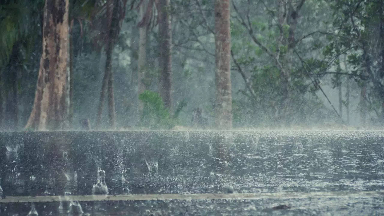 চড়া রোদের দাপট না বৃষ্টি আবহাওয়ার এই খামখেয়ালিপনা আর কতদিন