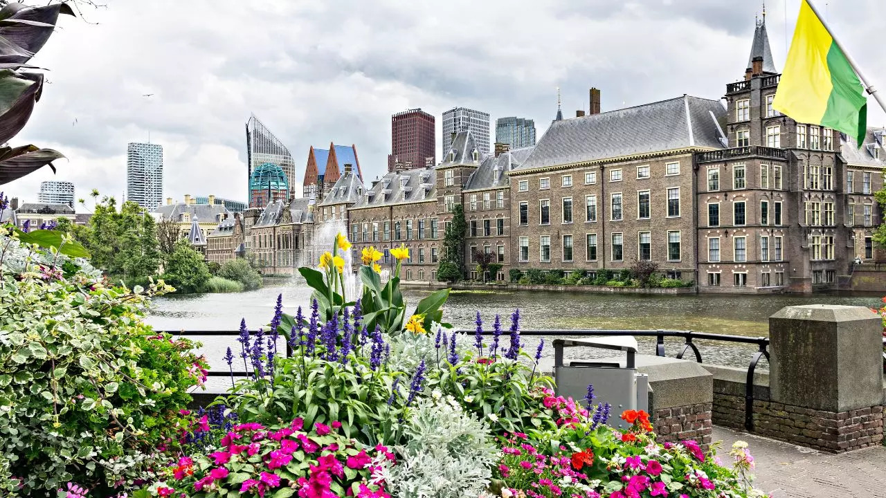 The Hague