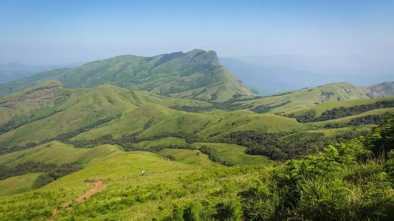 कुद्रेमुख