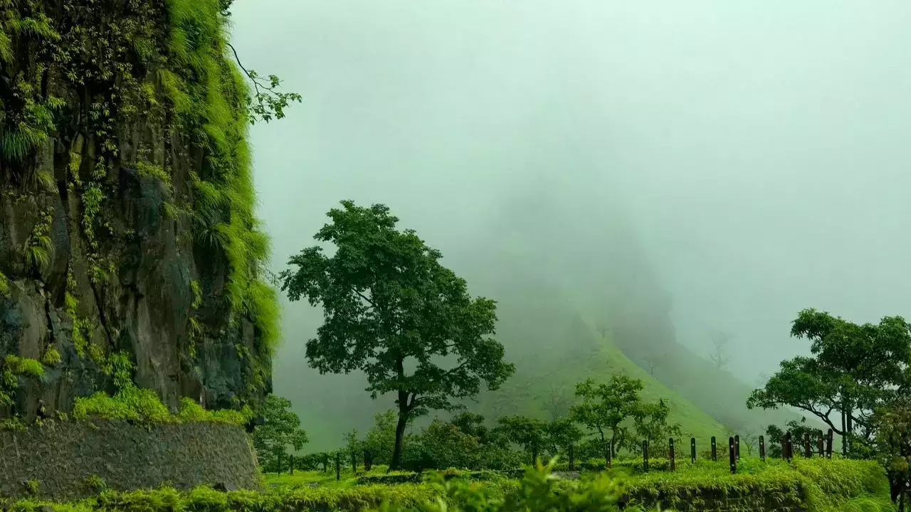 राजमाची