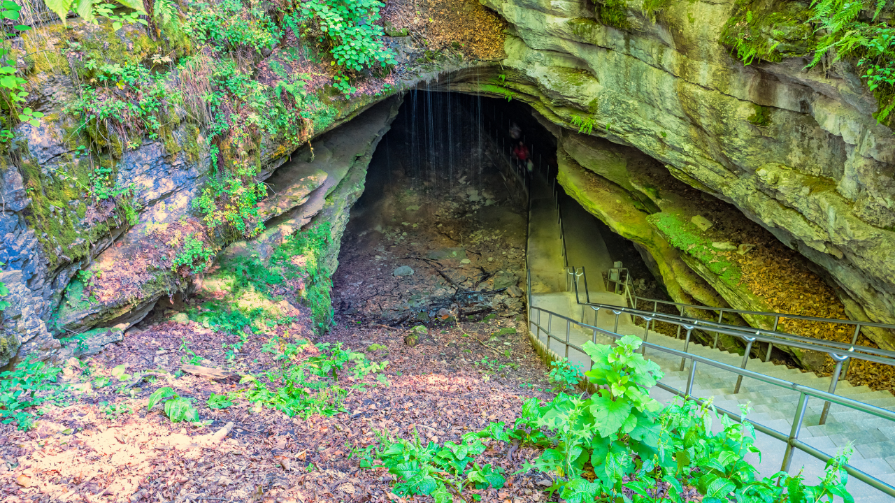 Mammoth Cave National Park Kentucky