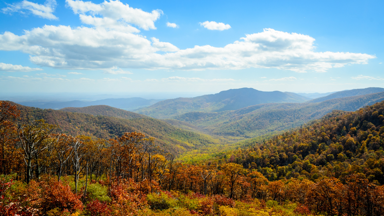 Shenandoah National Park Virginia