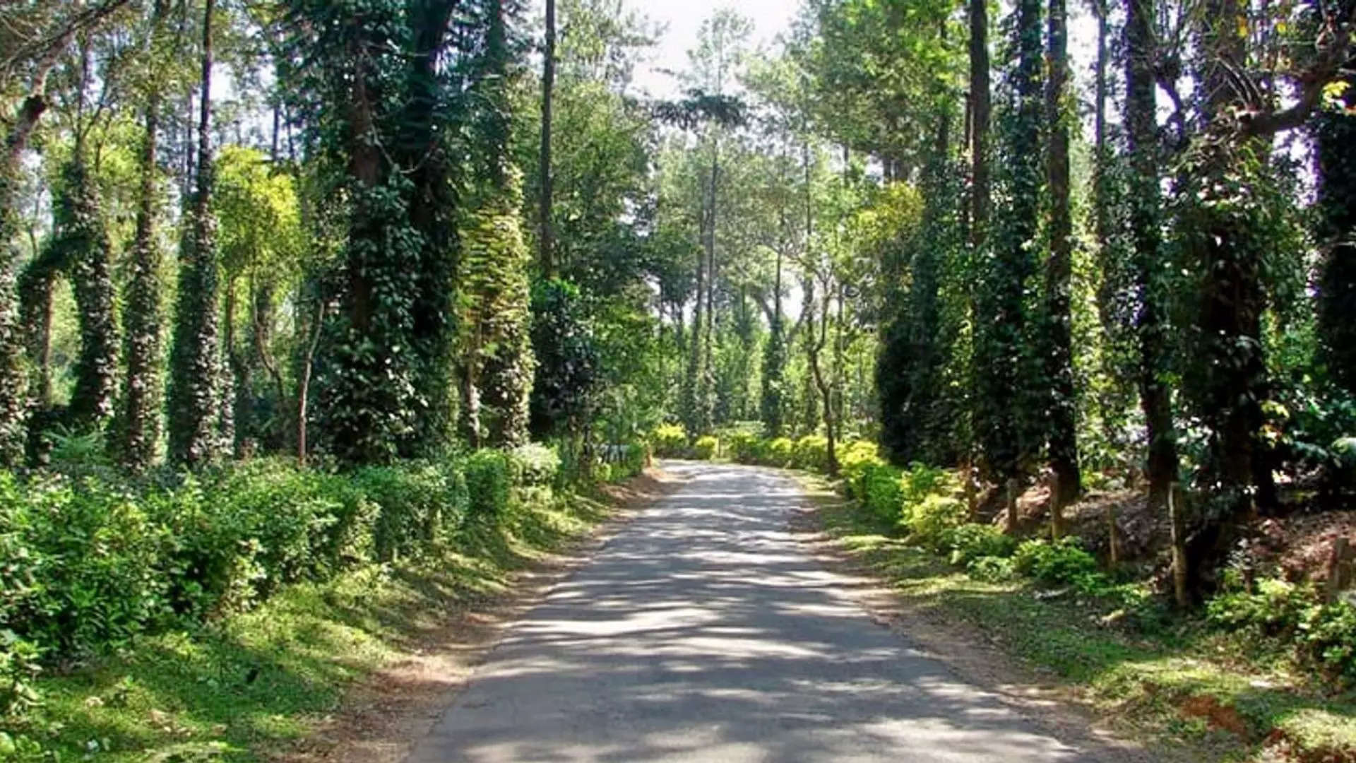 ಸೊಬಗಿನ ಸಿರಿ ಕೂರ್ಗ್