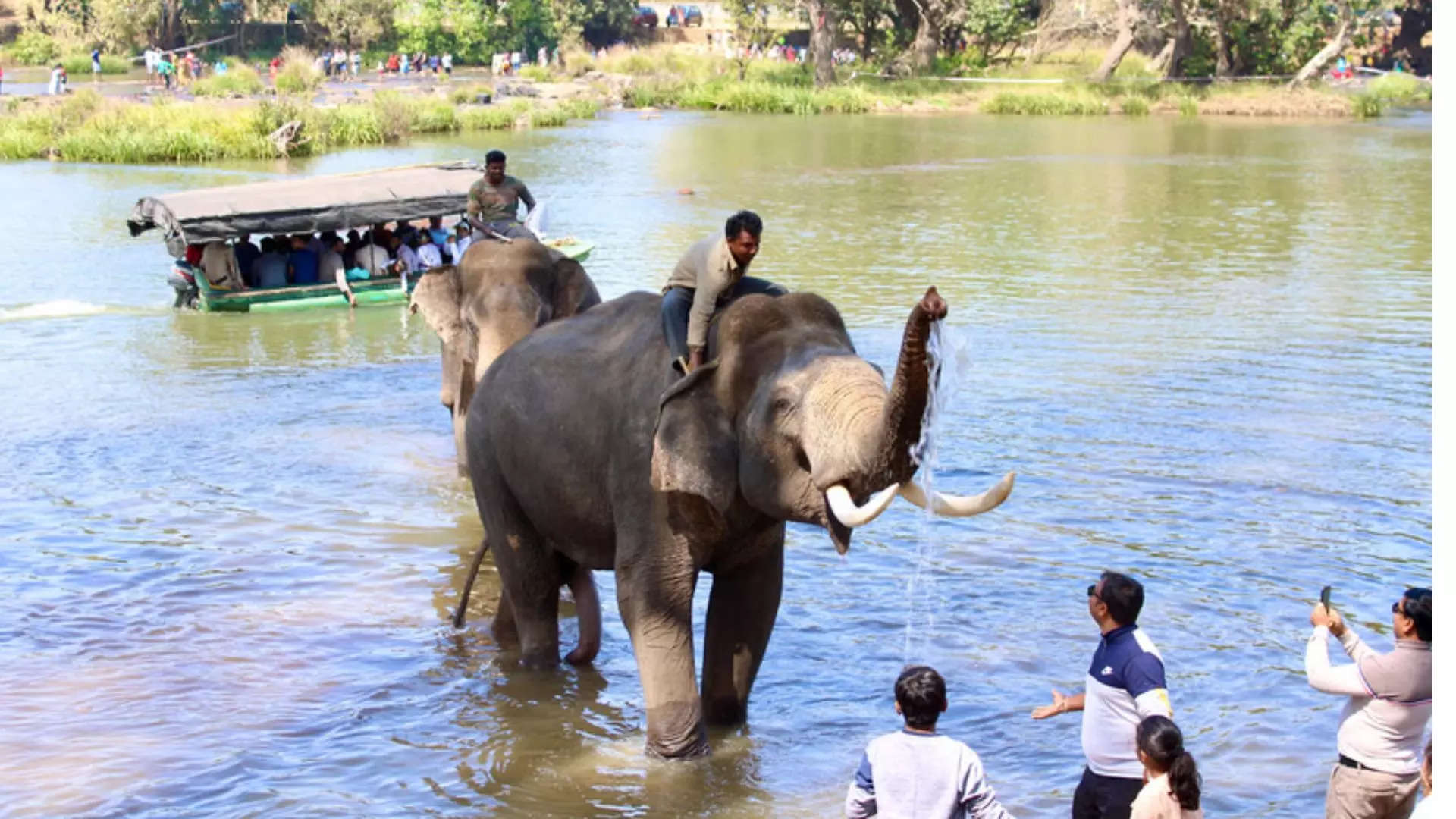 ದುಬಾರೆ ಆನೆ ಶಿಬಿರ