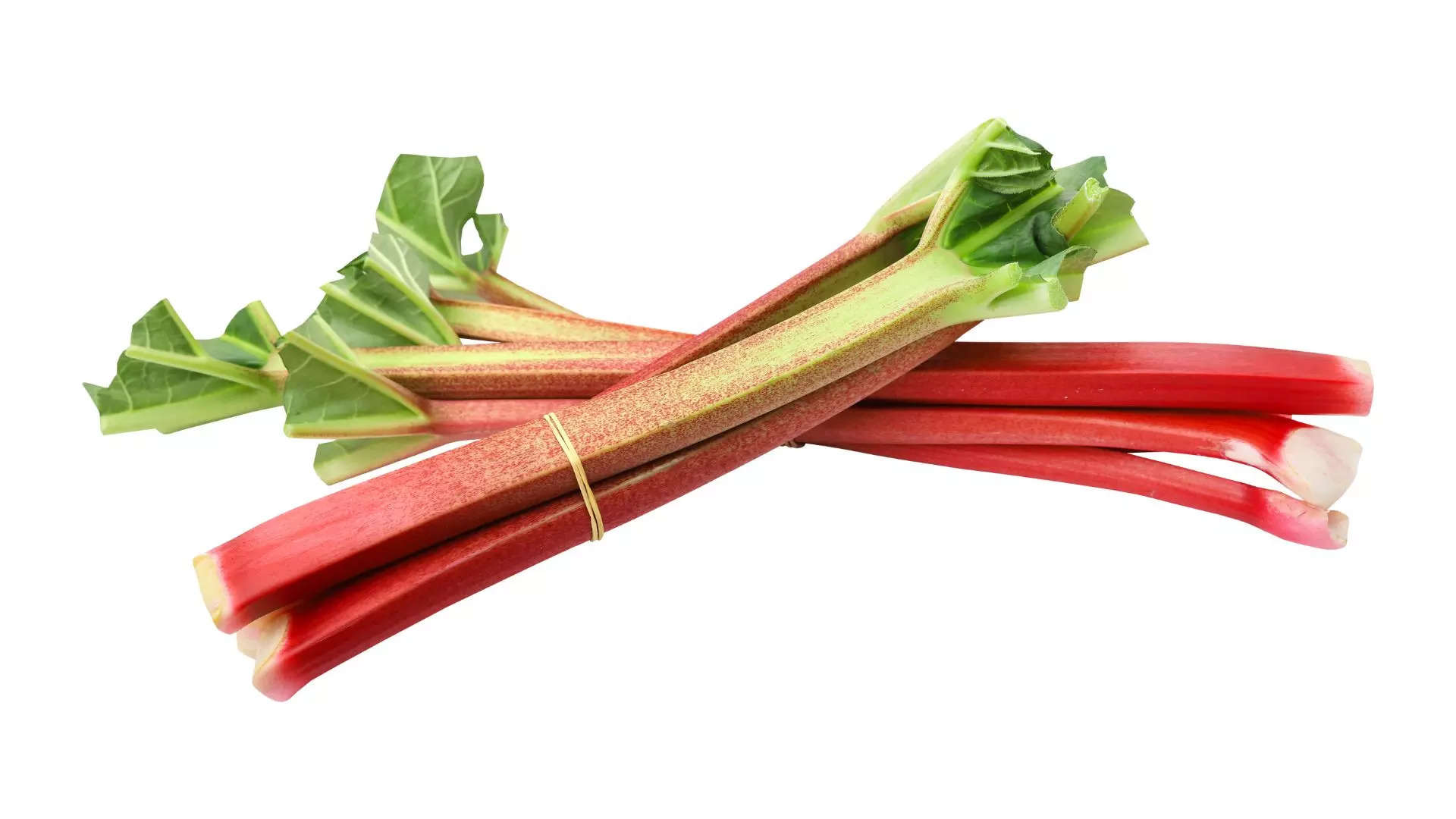 ರೂಬಾರ್ಬ್ Rhubarb 