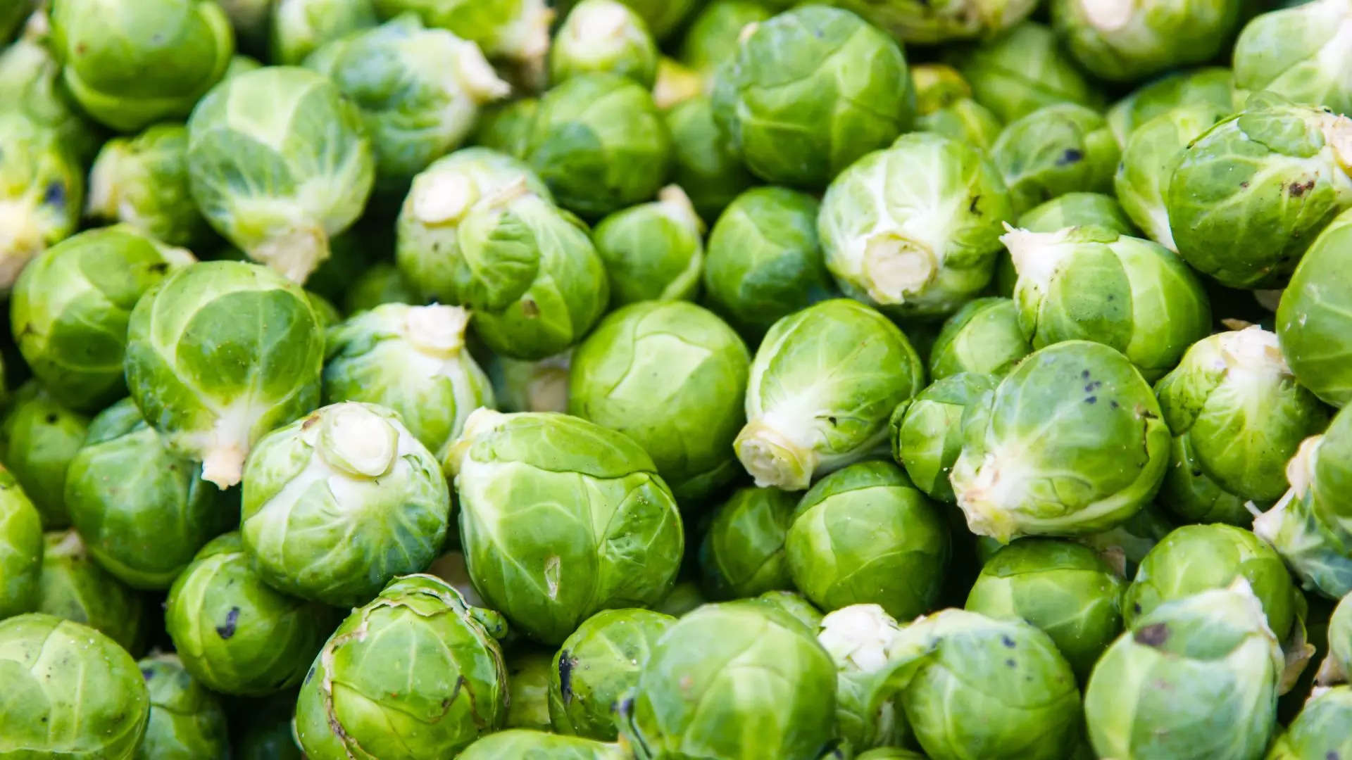 ಬ್ರಸೆಲ್ಸ್ ಮೊಗ್ಗುಗಳು Brussels sprouts