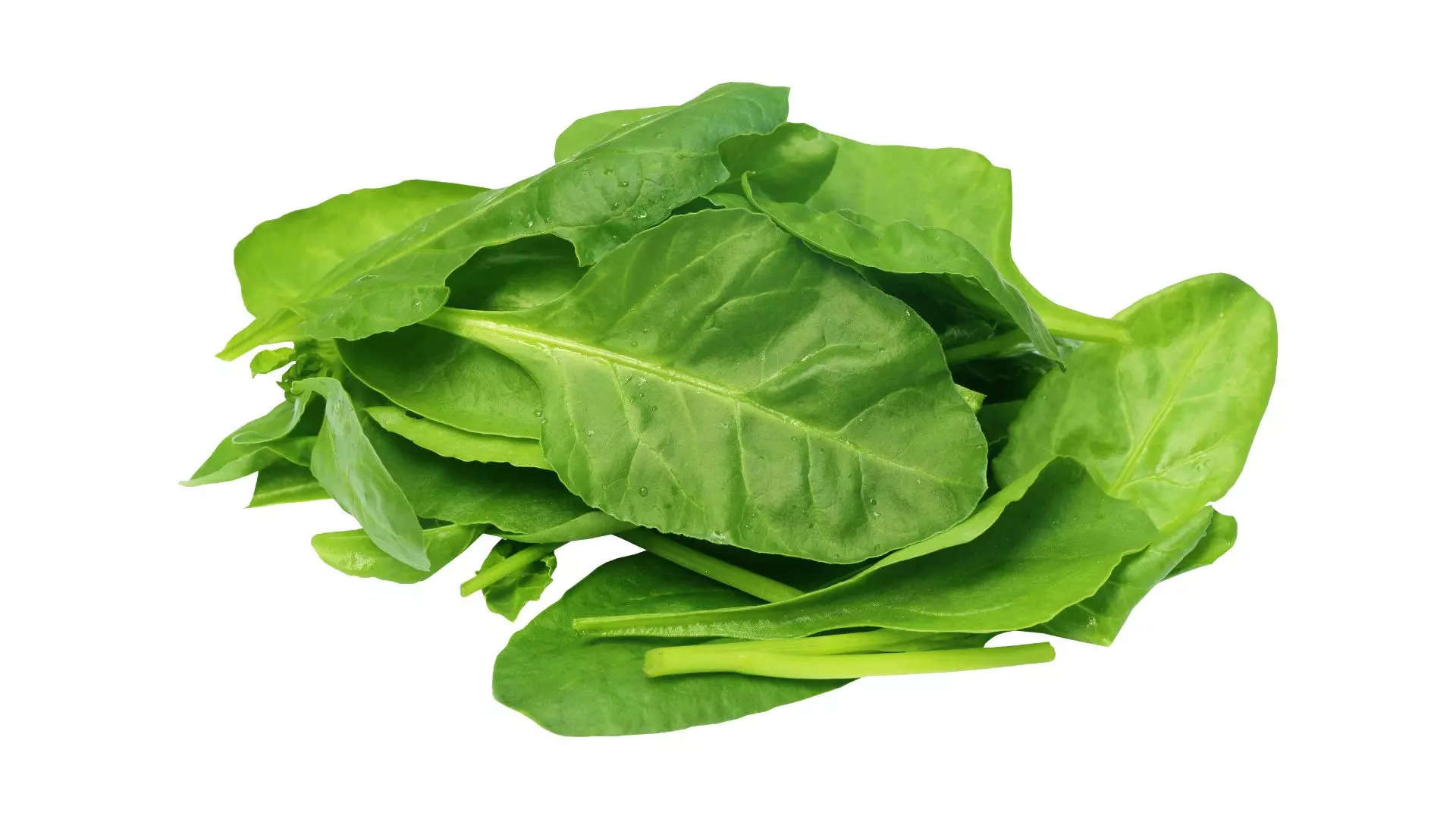 ಪಾಲಕ್  Spinach 