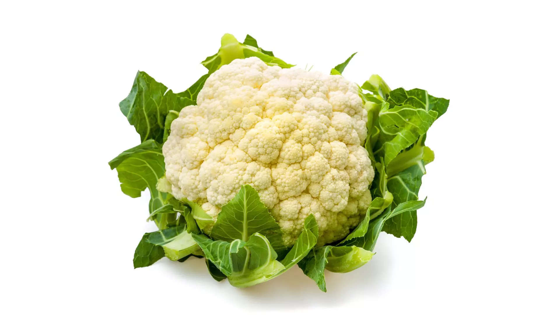 ಹೂಕೋಸು Cauliflower