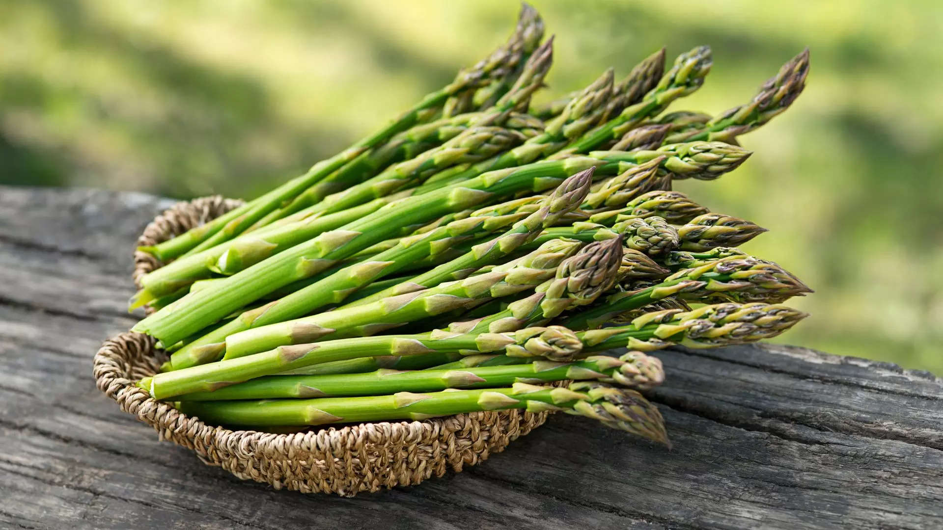 ಶತಾವರಿ Asparagus