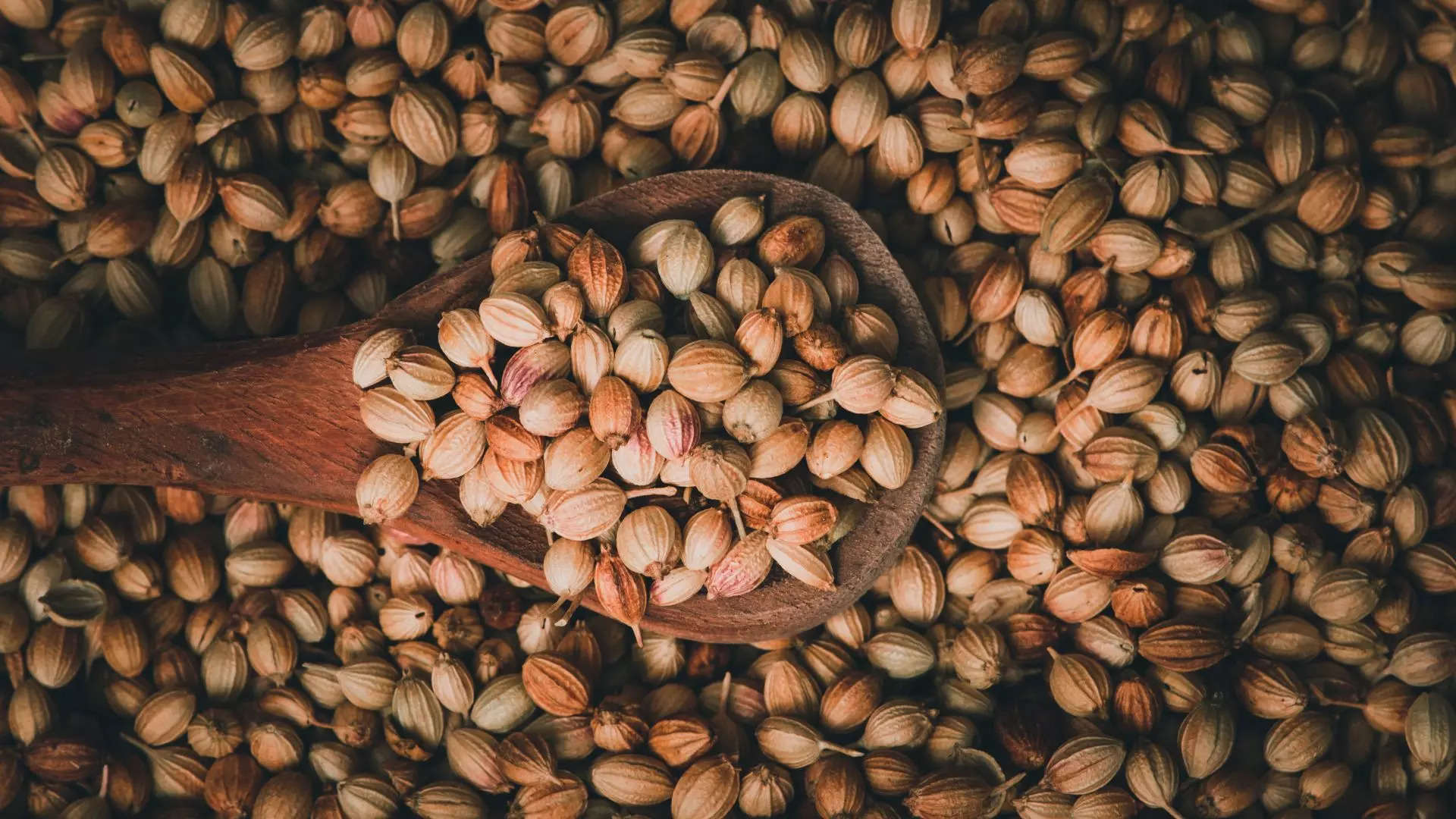 ಕೊತ್ತಂಬರಿ ನೆನೆಸಿಟ್ಟ ನೀರು ಕುಡಿಯಿರಿ 