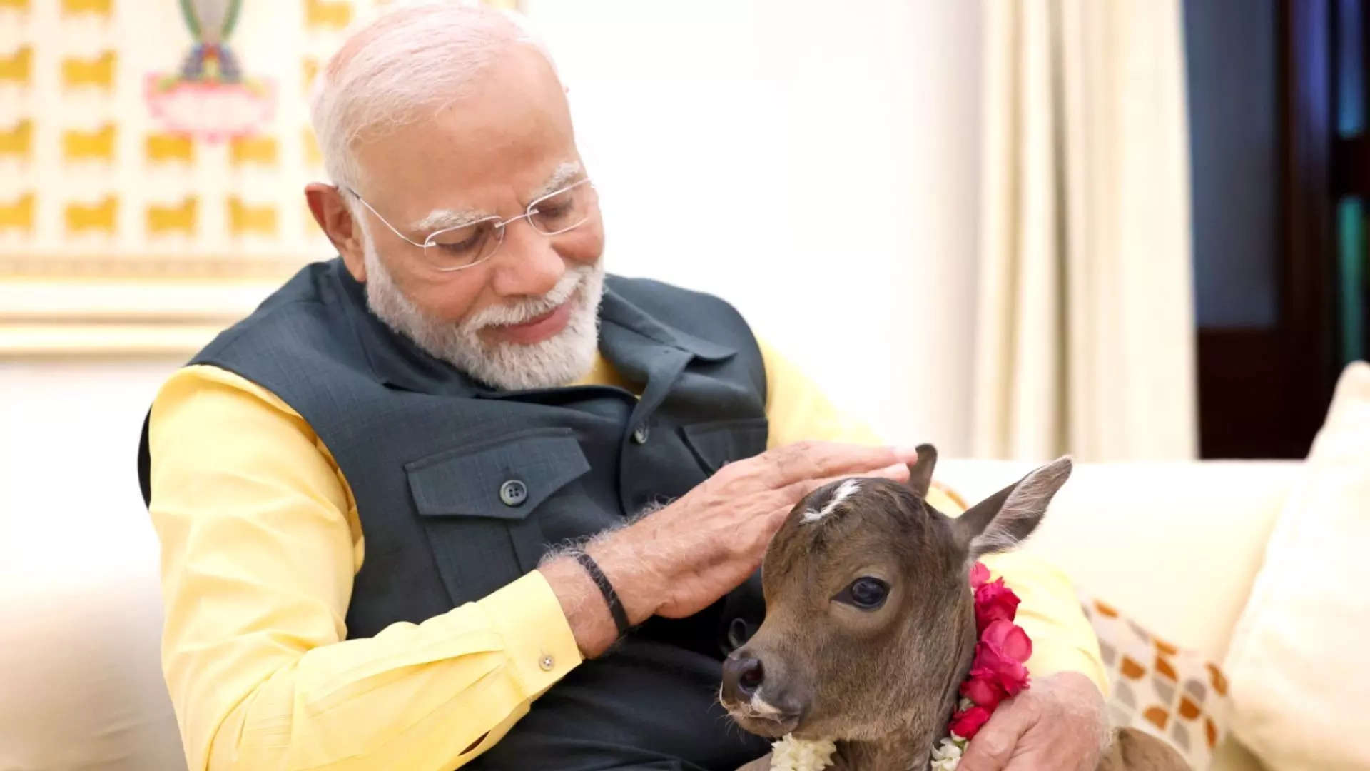 ಹೊಸ ಅತಿಥಿಯನ್ನು ಬರಮಾಡಿಕೊಂಡ ಮೋದಿ