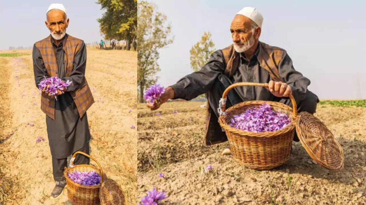 वार्षिक उत्पादन