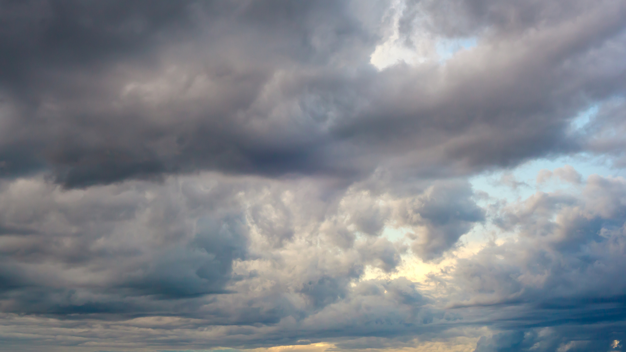 Telangana Rains