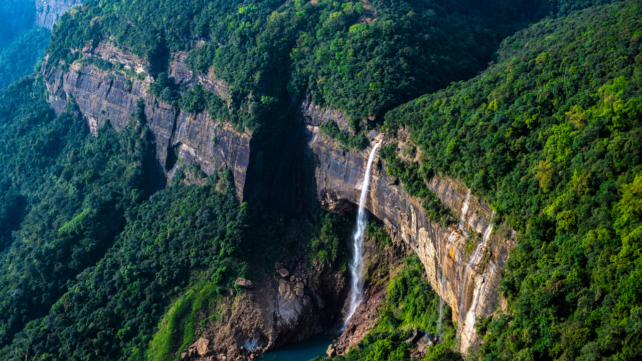 Mawphlang Sacred Forest Meghalaya