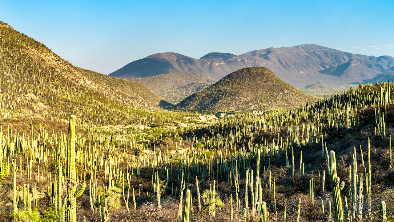 Khangchendzonga Biosphere Reserve Sikkim