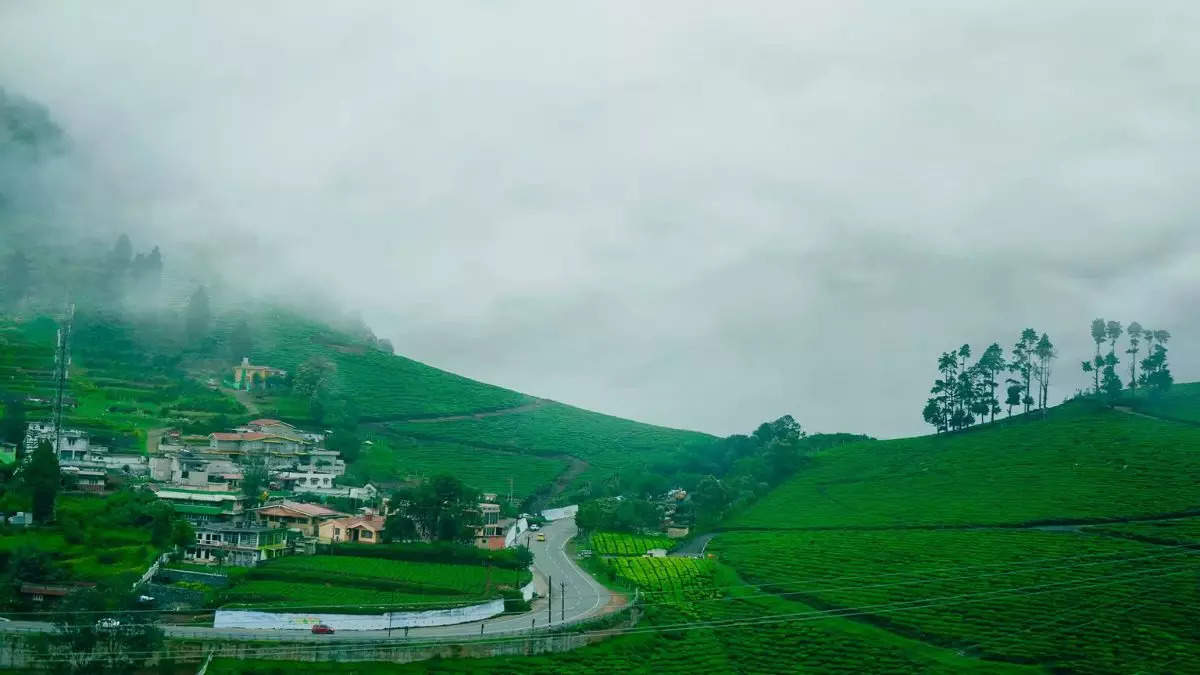 दोन-तीन लोकांसाठी कमी खर्च