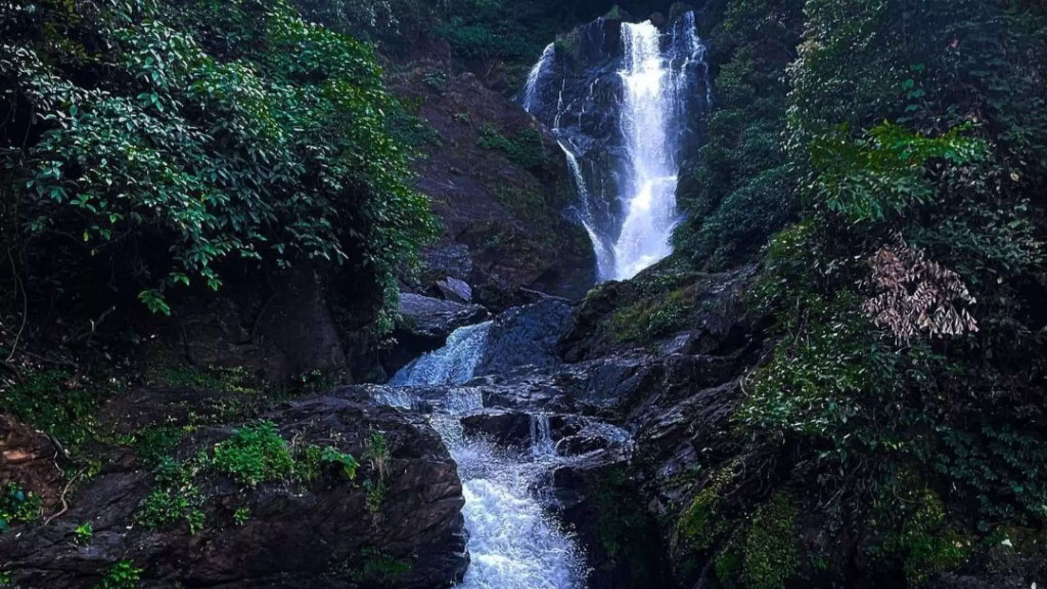 ವಿಭೂತಿ ಪಾಲ್ಸ್