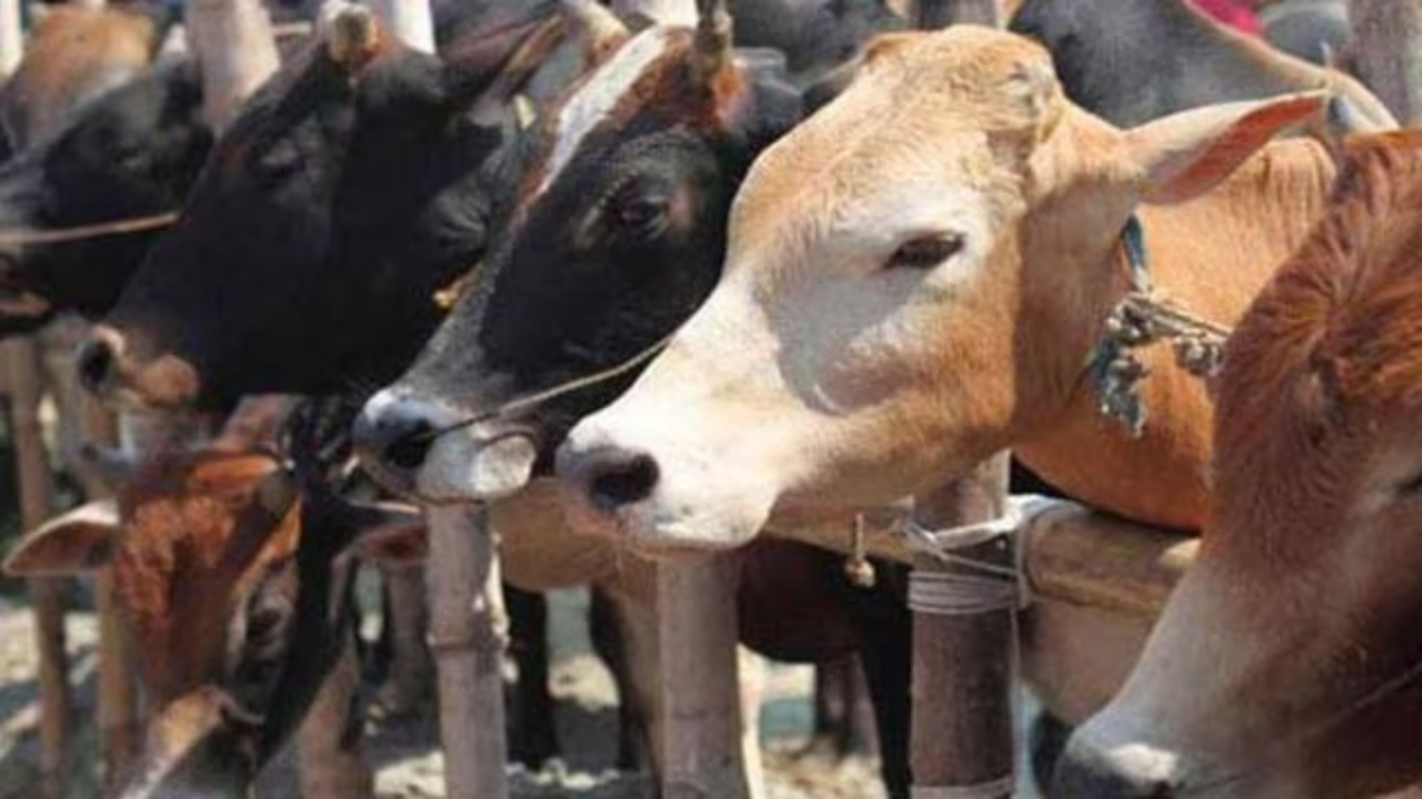 गौमाता