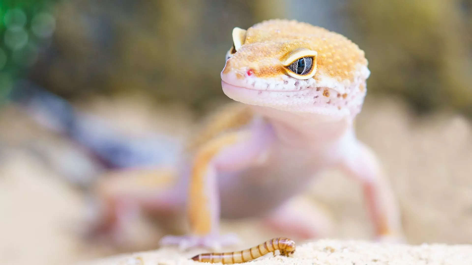 ಮೈಮೇಲೆ ಬೀಳಲಿದೆ ಎಂಬ ಭಯ!