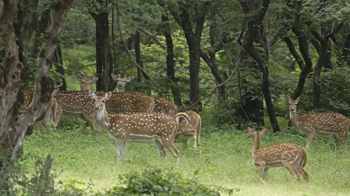 9 एग्जॉटिक राजस्थान