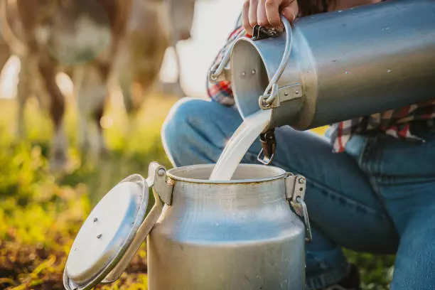 कच्चे दूध पिल्याने काय होते