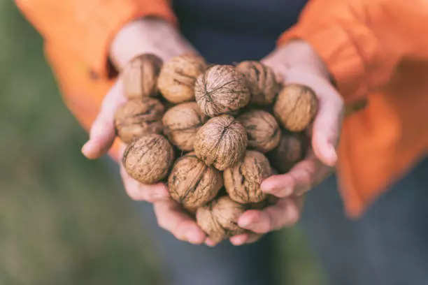 दम्याचे रुग्ण 