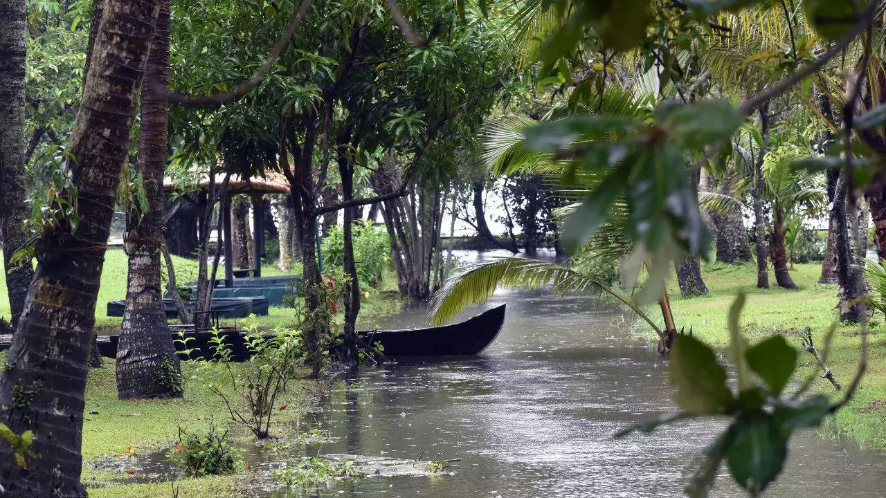 আবহাওয়ার বিরাট বদল! কয়েক ঘণ্টার মধ্যেই মুষলধারে বৃষ্টিতে ভাসবে ৫ জেলা