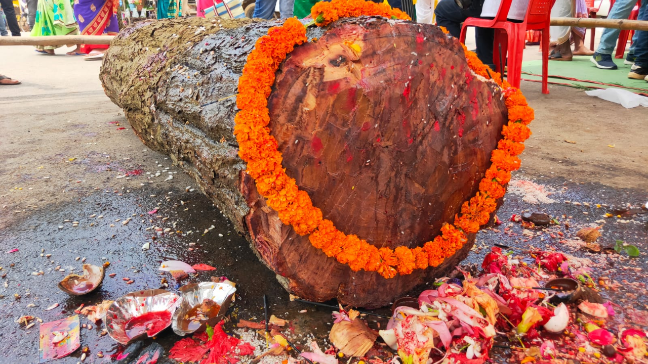 Nature Worship During Durga Puja in Chhattisgarh