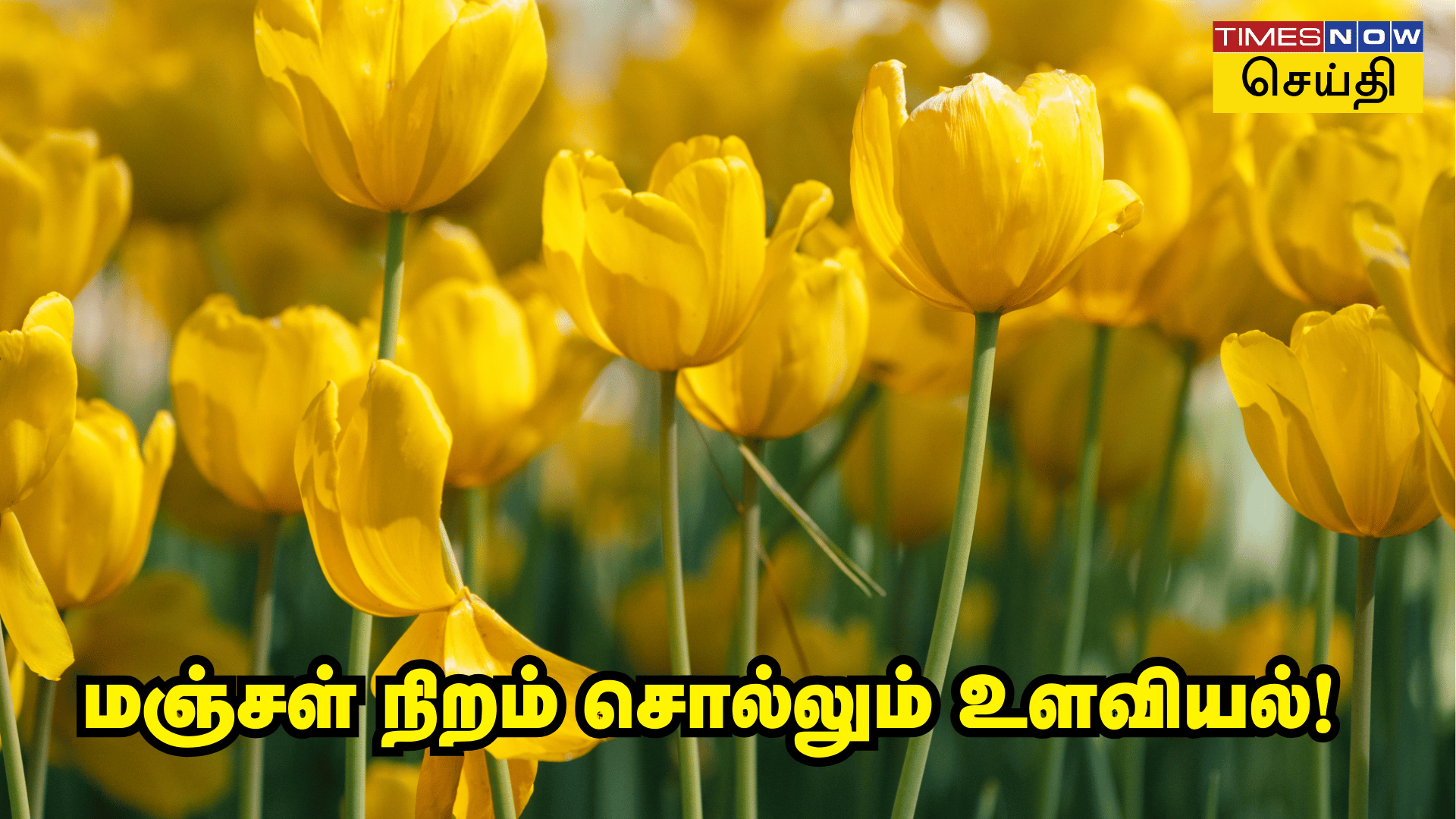 வண்ணங்களும் உளவியலும் மஞ்சள் நிறம் பற்றி உளவியல் என்ன சொல்லுது