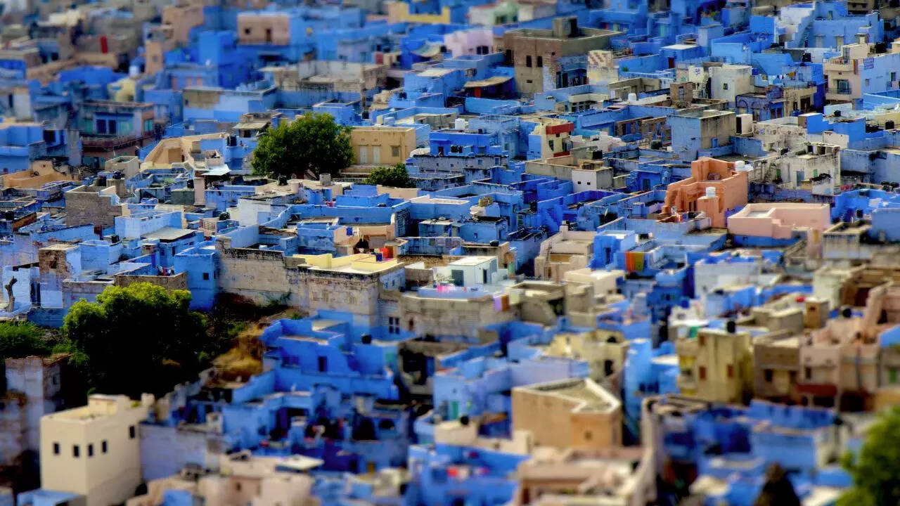 Jodhpur Credit Canva