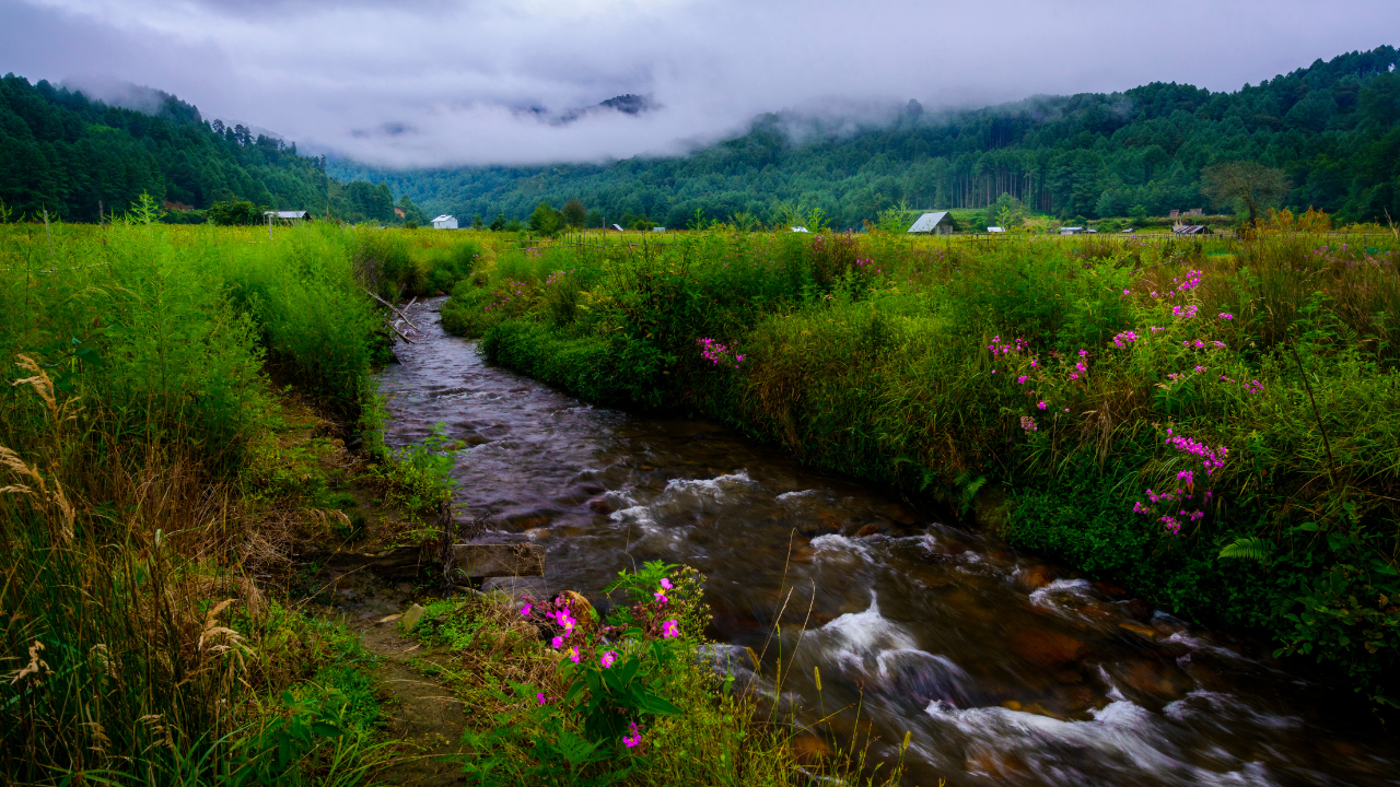 Ziro Arunachal Pradesh