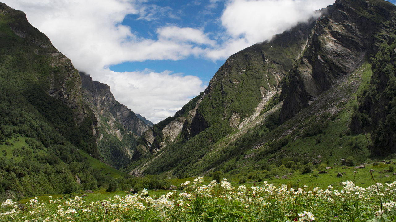 Valley of Flowers Uttarakhand