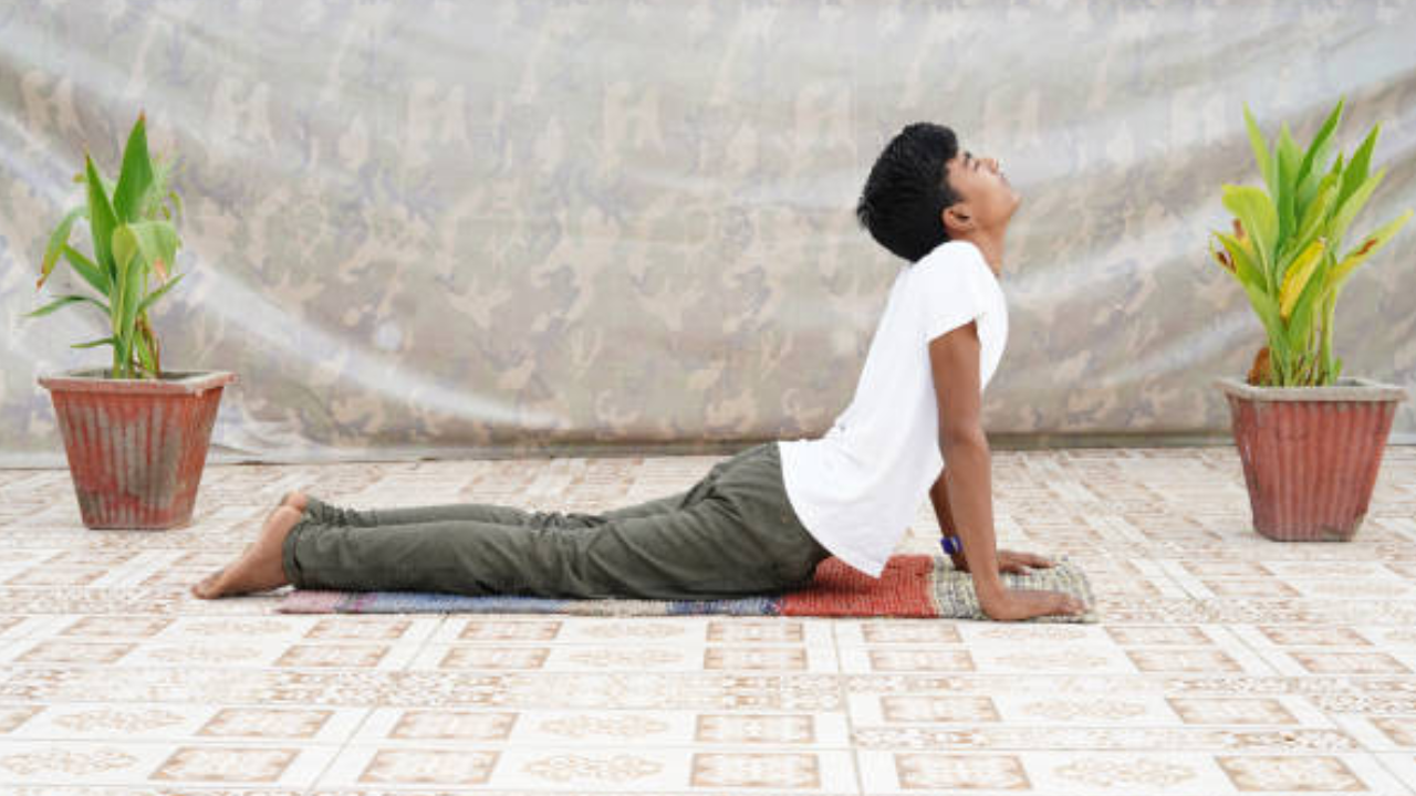 Cobra Pose Bhujangasana