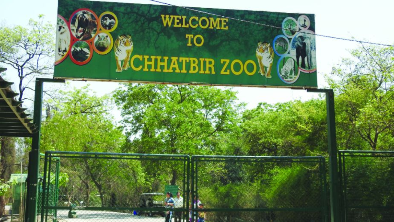 Chhatbir Zoo