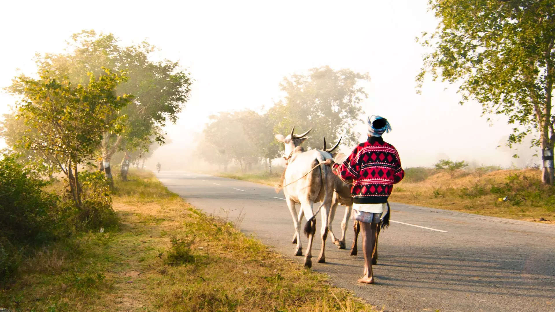 ಮಕ್ಕಳಿಗೆ ಹಳ್ಳಿಗಳ ಮಹತ್ವ ತಿಳಿಸಿ