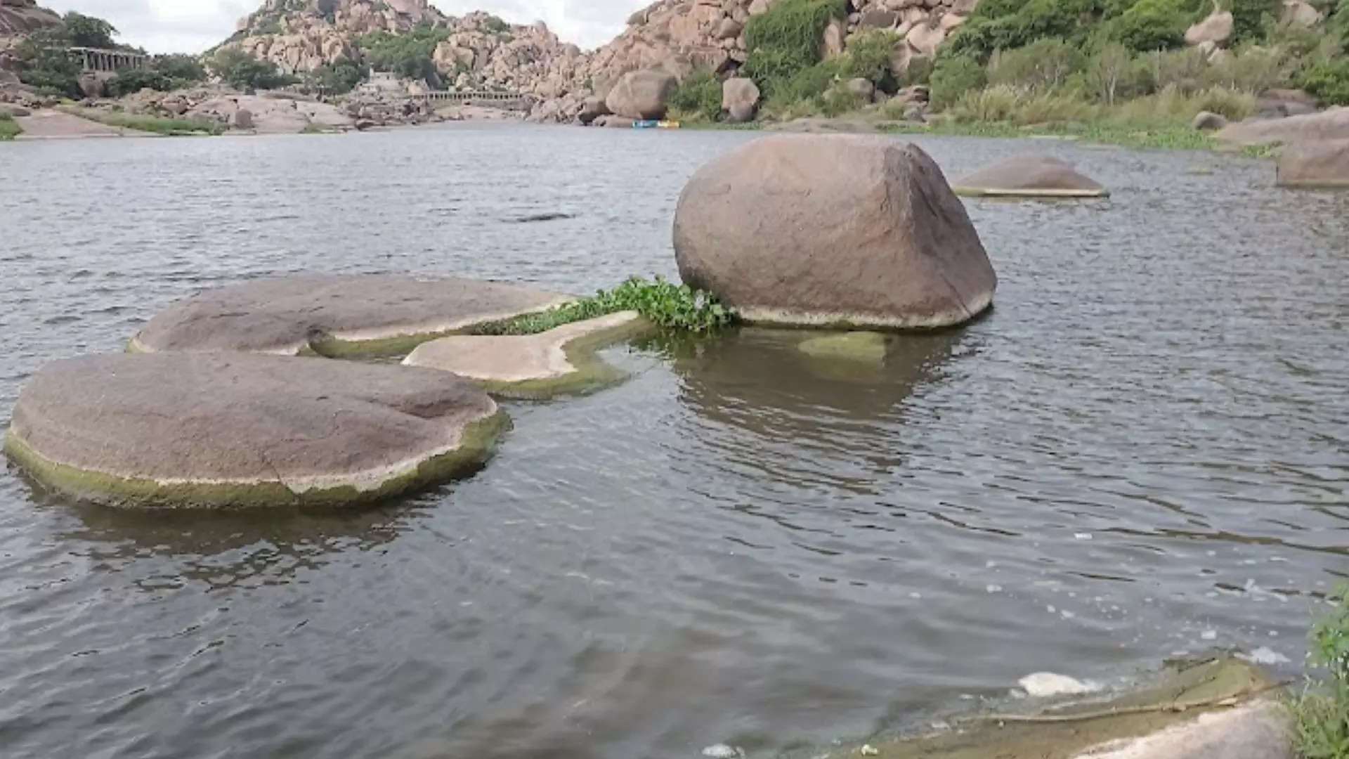 ಹಿಪ್ಪಿ ದ್ವೀಪ