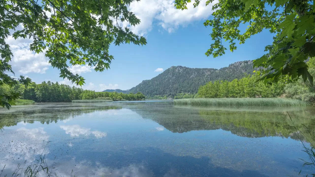Cowada Lake National Park Credit Canva