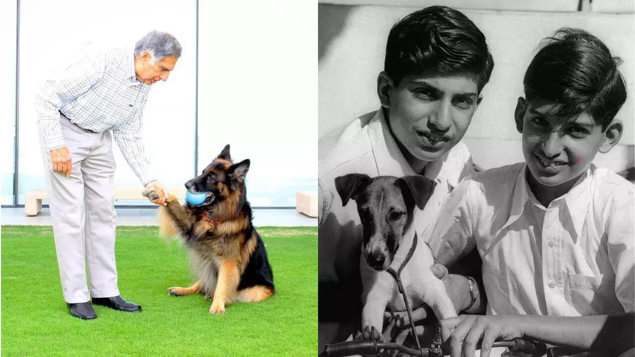 Ratan Tata was known and loved for his compassion towards animals