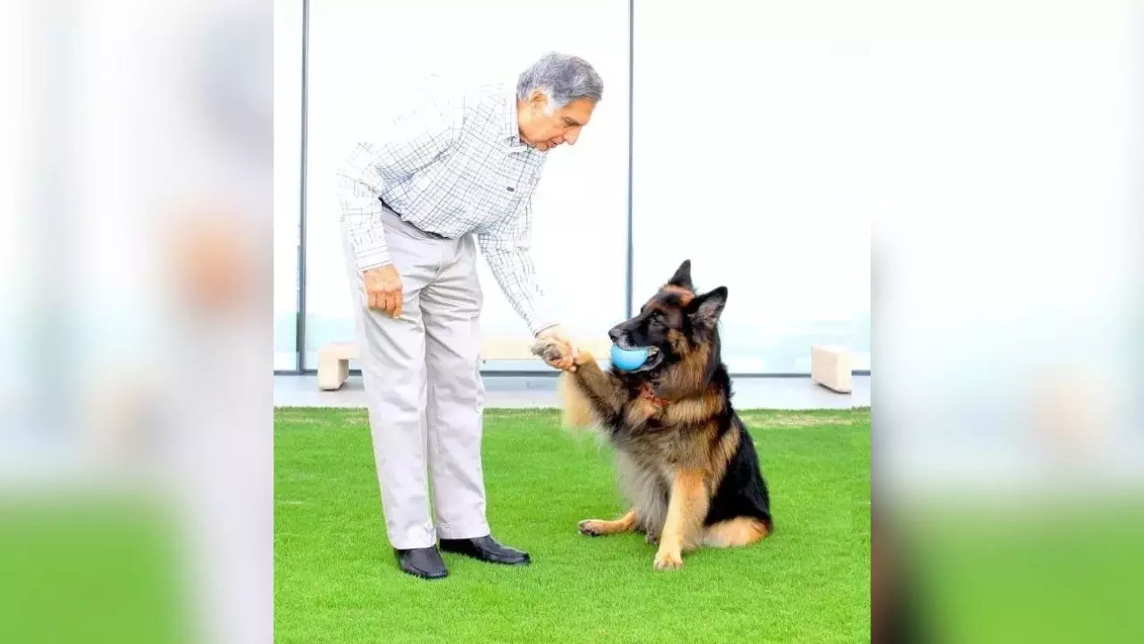 Ratan Tata And His Love For Dogs