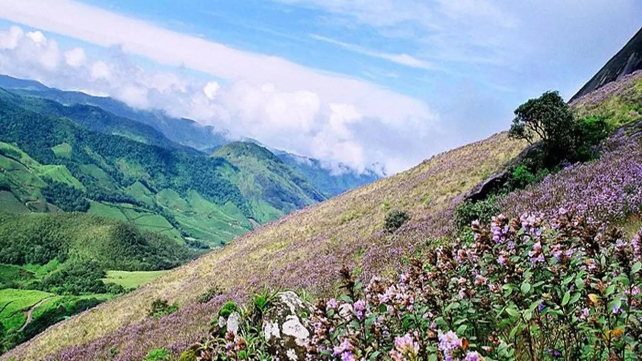 आता कधी पाहायला मिळेल