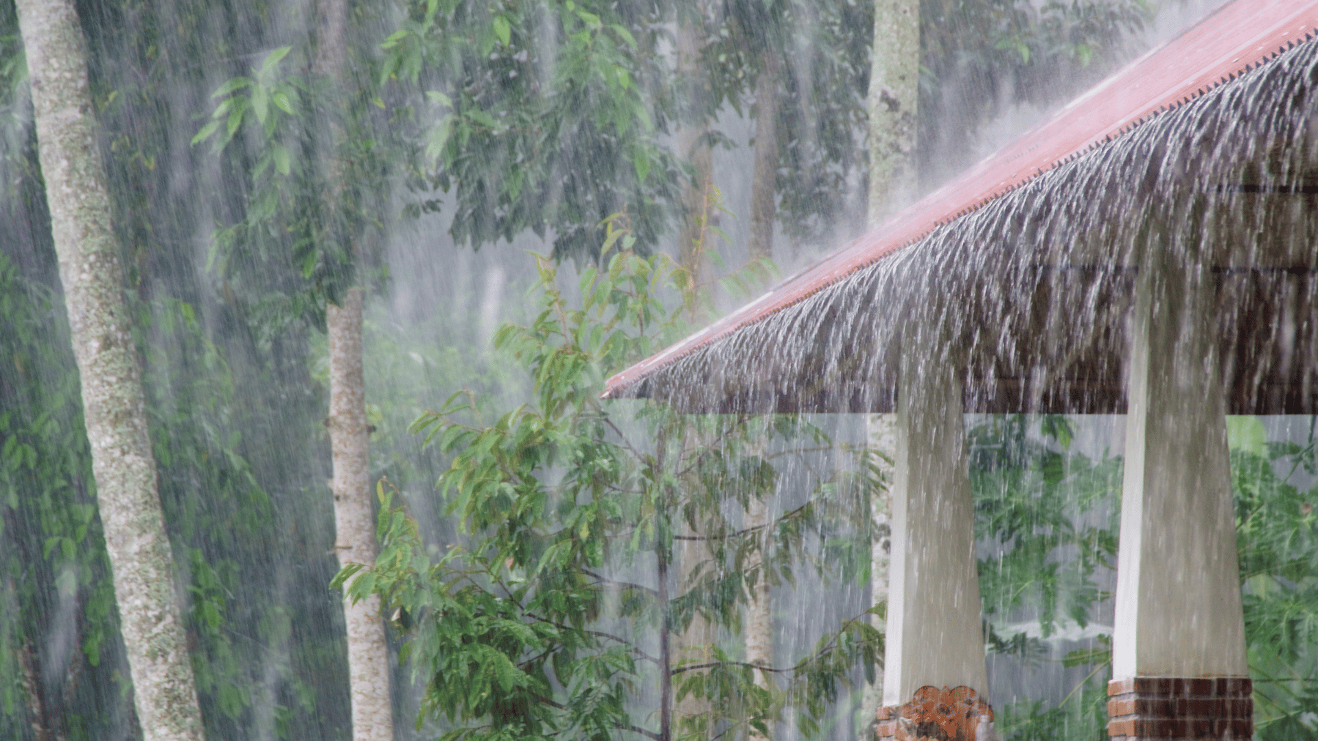 வெள்ளம் பெருமழை