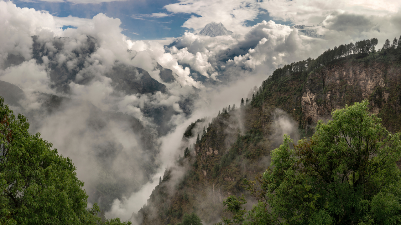 Nilgiri Hills Tamil Nadu