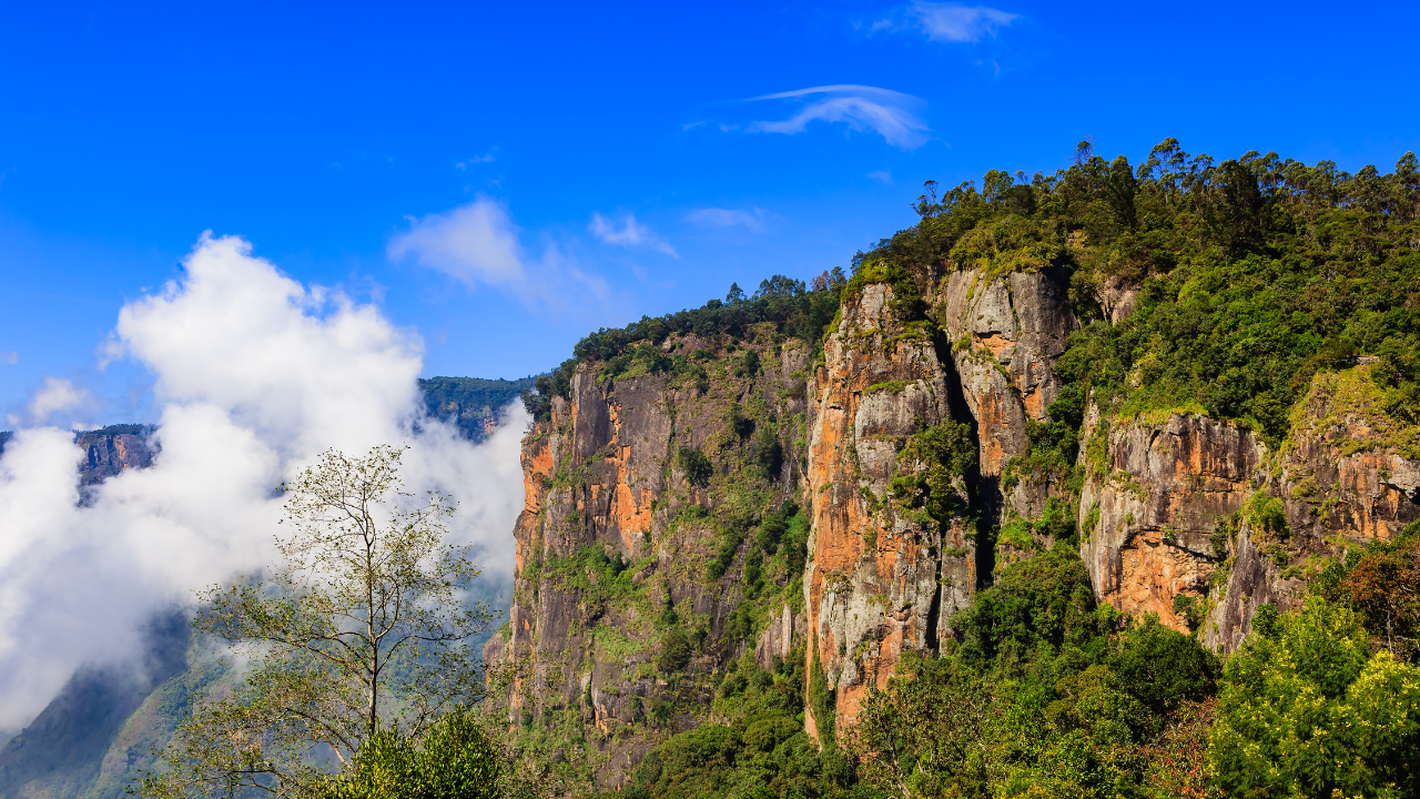 Kodaikanal Tamil Nadu