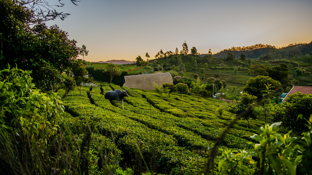 Ooty Tamil Nadu