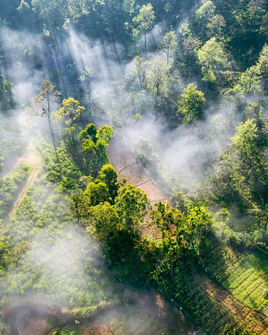 ವಾತಾವರಣ ಹೇಗಿರುತ್ತದೆ