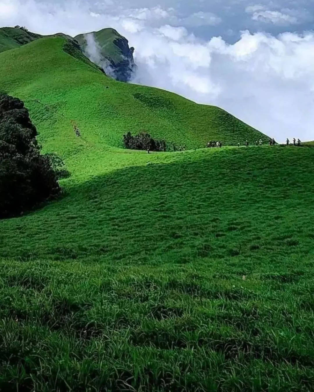 ಚಿಕ್ಕಮಗಳೂರು