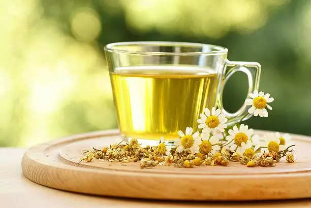 कॅमोमाइल चहा Chamomile Tea